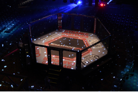 Overhead view of the MMA ring known as the Octagon