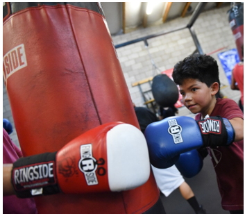 young boxer with senior trainer