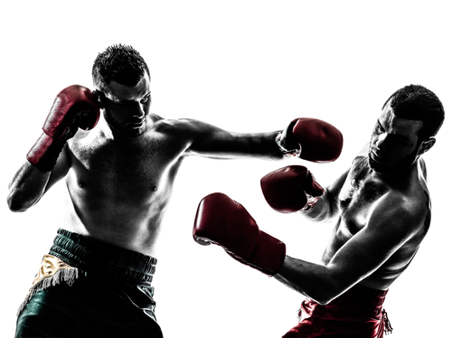 two men exercising thai boxing