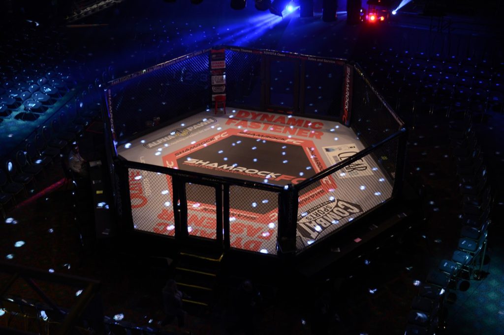 The octagon - where MMA fighters dream of victory