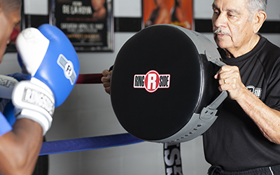 Boxing round store punch shield