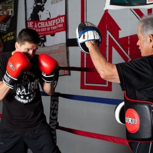 best punch mitts for boxing